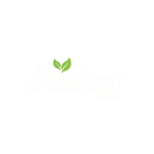 Aether Wave
